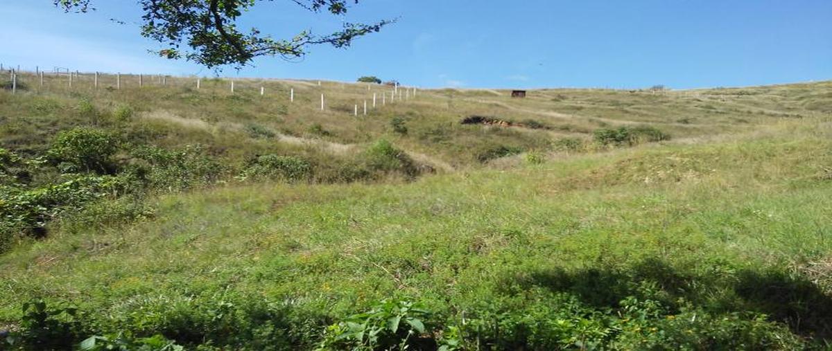 Foto de terreno habitacional en venta en calle mina 00, cuilápam de guerrero centro, cuilápam de guerrero, oaxaca, 8871763 No. 04