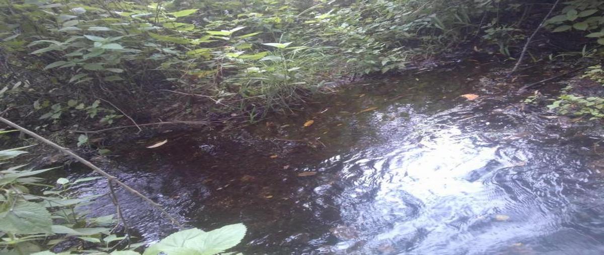 Foto de terreno habitacional en venta en calle mina 00, cuilápam de guerrero centro, cuilápam de guerrero, oaxaca, 8871763 No. 05