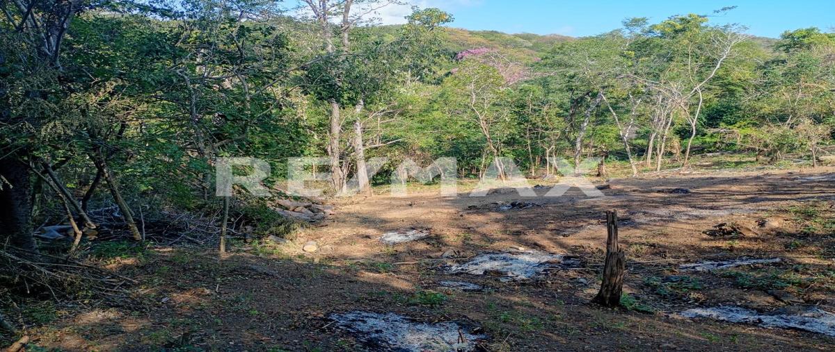 Foto de terreno habitacional en venta en calle mojon lote 366 , santa maría xadani, san miguel del puerto, oaxaca, 30899481 No. 03