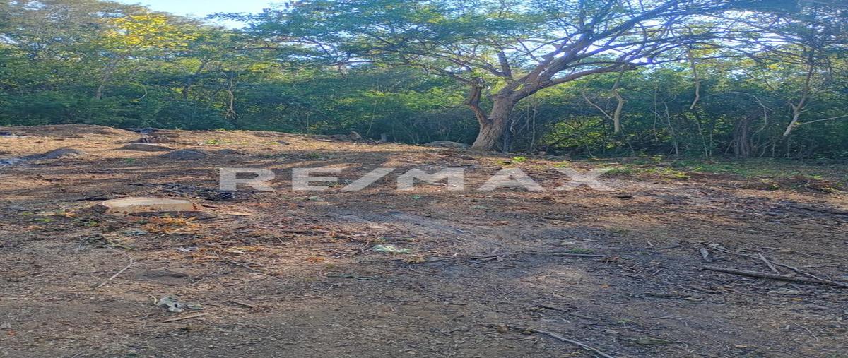 Foto de terreno habitacional en venta en calle mojon lote 366 , santa maría xadani, san miguel del puerto, oaxaca, 30899481 No. 05