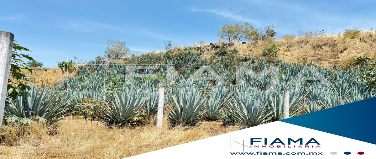 Foto de terreno habitacional en venta en calle , mora, tepic, nayarit, 28164450 No. 03