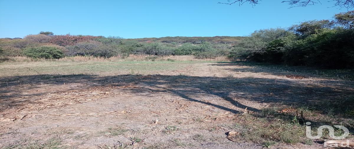 Foto de terreno habitacional en venta en calle niños heroes , capacho, huandacareo, michoacán de ocampo, 30367718 No. 03