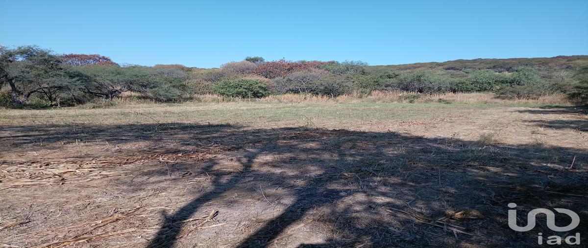 Foto de terreno habitacional en venta en calle niños heroes , capacho, huandacareo, michoacán de ocampo, 30367718 No. 04