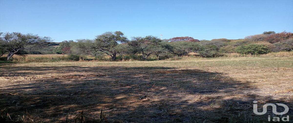 Foto de terreno habitacional en venta en calle niños heroes , capacho, huandacareo, michoacán de ocampo, 30367718 No. 05