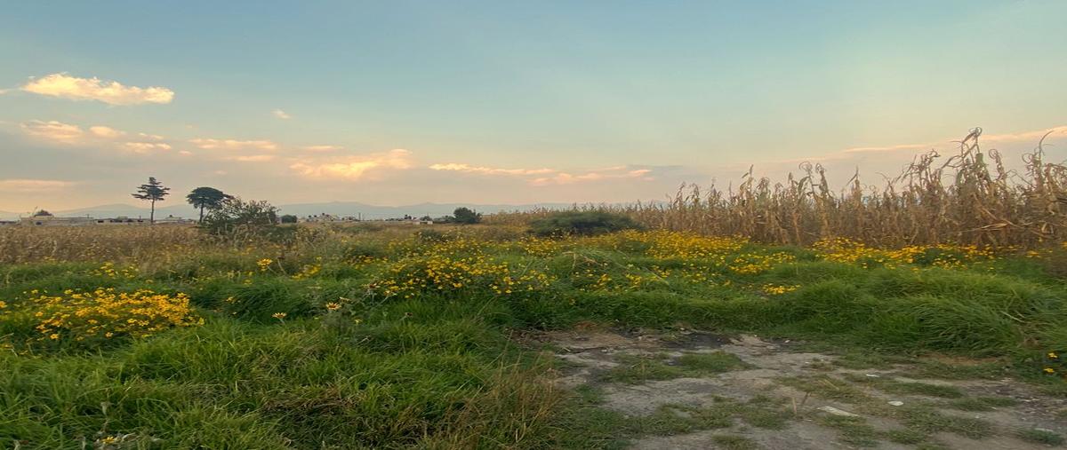 Foto de terreno habitacional en venta en calle niños heroes na, san nicolás tolentino, toluca, méxico, 0 No. 04