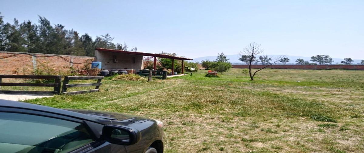Foto de terreno industrial en venta en calle numero encontradase puso para subir archivo , san isidro mazatepec, tala, jalisco, 30308052 No. 03