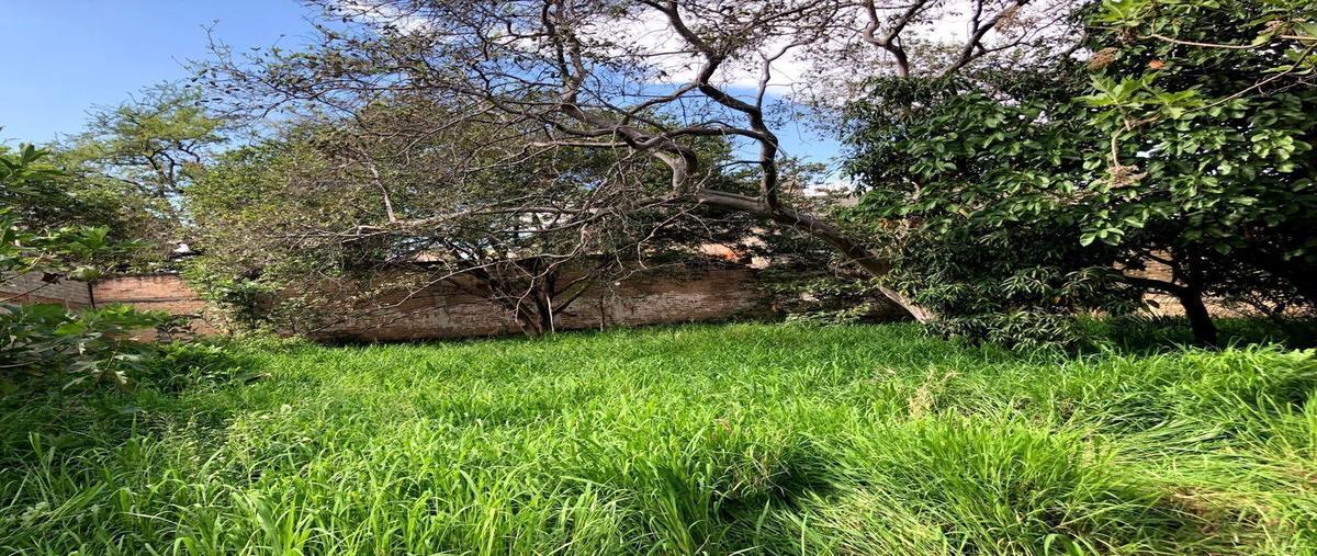 Foto de terreno habitacional en venta en calle p de los frambuesos , tabachines, zapopan, jalisco, 0 No. 03
