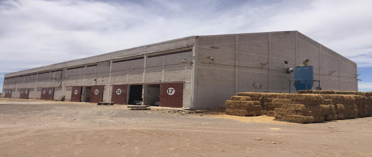 Foto de nave industrial en venta en calle palo bola y carretera transpeninsular licenciado benito juárez garcía, colonia vargas, cd. constitución, b.c.s. , vargas, comondú, baja california sur, 25013691 No. 03