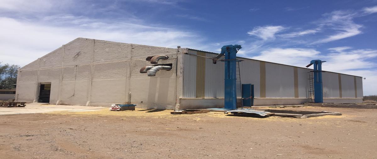 Foto de nave industrial en venta en calle palo bola y carretera transpeninsular licenciado benito juárez garcía, colonia vargas, cd. constitución, b.c.s. , vargas, comondú, baja california sur, 25013691 No. 05