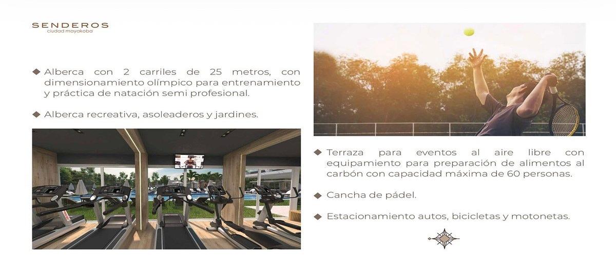 Foto de terreno habitacional en calle parque los venados , ciudad mayakoba, solidaridad, quintana roo, 0 foto 04 Foto de terreno habitacional en venta en calle parque los venados , ciudad mayakoba, solidaridad, quintana roo, 0 No. 04