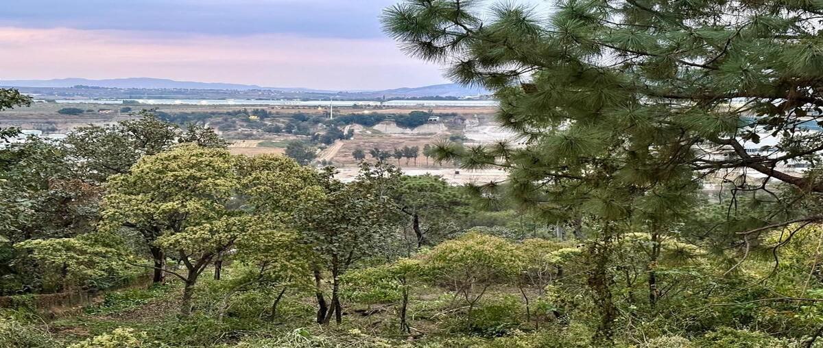 Foto de terreno habitacional en venta en calle paseo de los robles , pinar de la venta, zapopan, jalisco, 0 No. 03