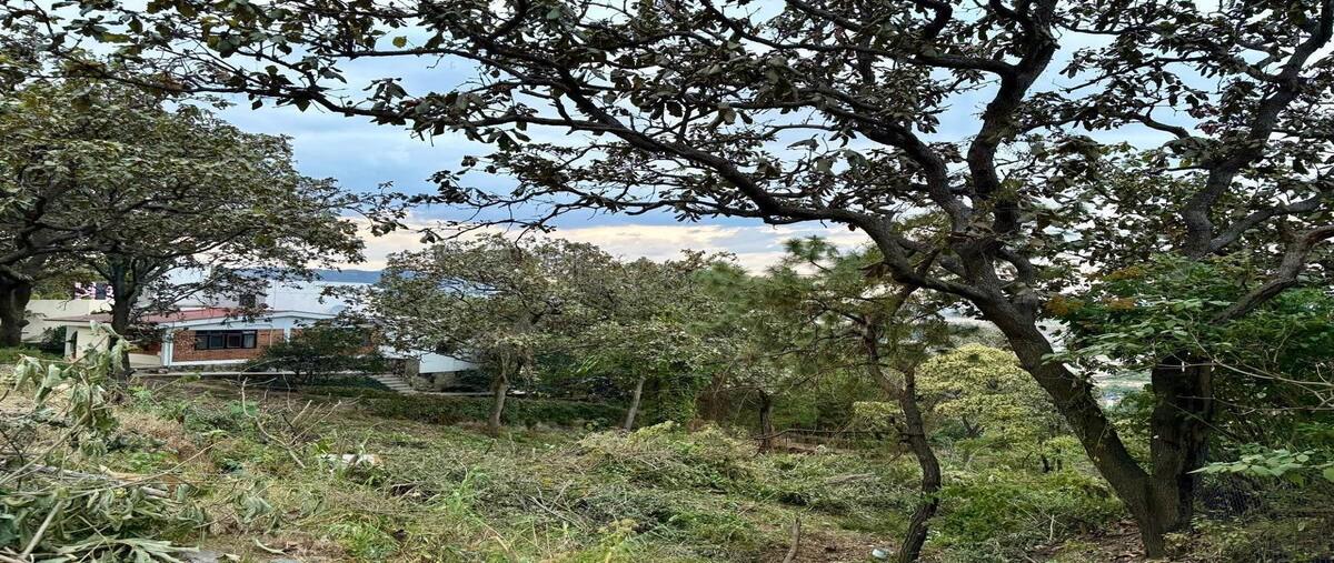 Foto de terreno habitacional en venta en calle paseo de los robles , pinar de la venta, zapopan, jalisco, 0 No. 04