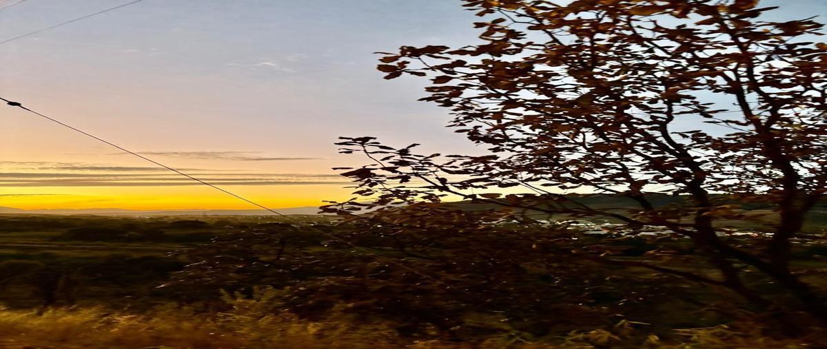 Foto de terreno habitacional en venta en calle paseo de los robles , pinar de la venta, zapopan, jalisco, 0 No. 05