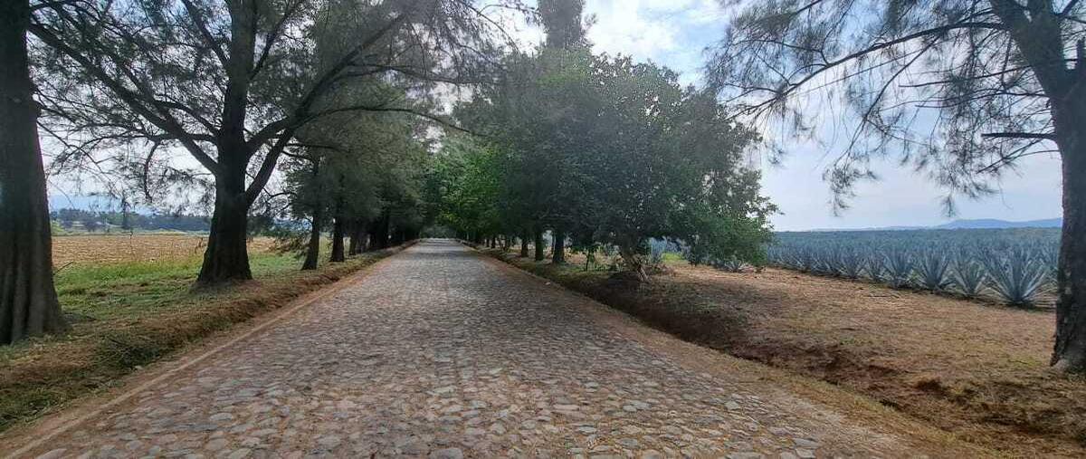 Foto de terreno habitacional en venta en calle paseo del aguacate , santa cruz del astillero, el arenal, jalisco, 29067462 No. 03