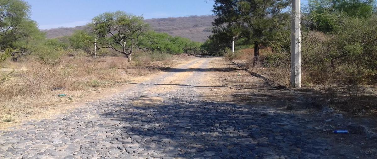 Foto de terreno habitacional en venta en calle picis y libra , santa rosa, ixtlahuacán de los membrillos, jalisco, 25255406 No. 05