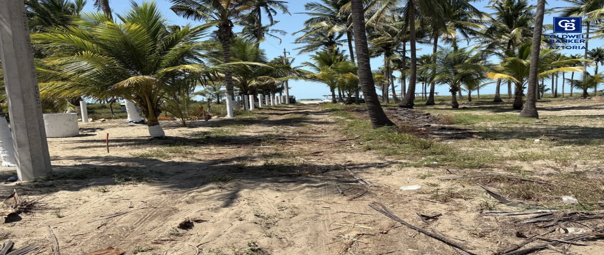 Foto de terreno habitacional en venta en calle pigua 11, pico de oro, centla, tabasco, 0 No. 03