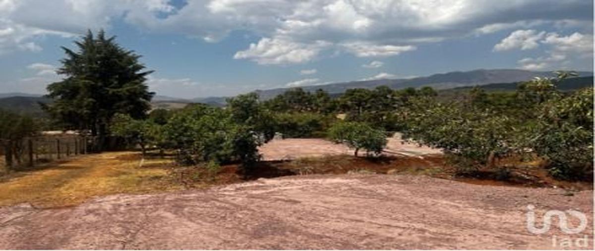 Foto de terreno habitacional en venta en calle pinkerton 111, chiquilistlan, chiquilistlán, jalisco, 31135232 No. 03