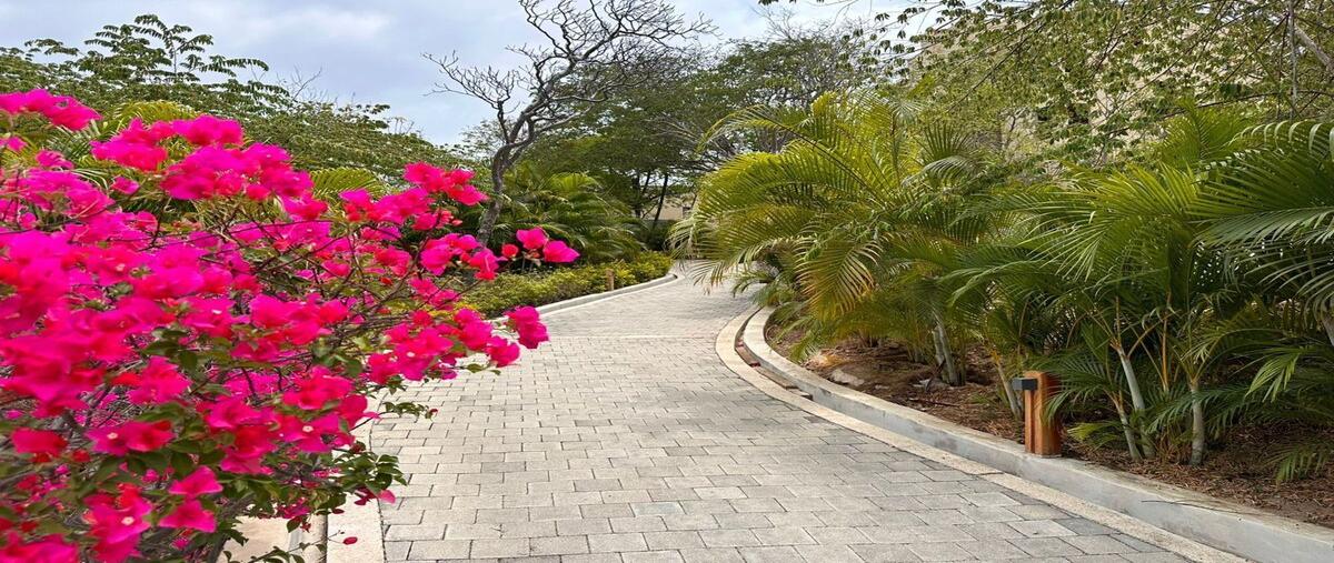 Foto de casa en venta en calle playa arrocito , el arrocito, santa maría huatulco, oaxaca, 0 No. 04