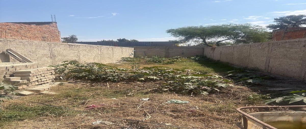 Foto de terreno habitacional en venta en calle primero de septiembre , valle de santa cruz, tlajomulco de zúñiga, jalisco, 0 No. 08