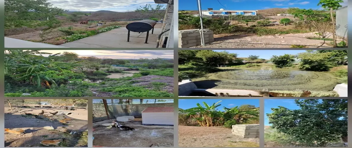 Foto de rancho en calle principal 2, palmillas, mazatlán, sinaloa, 0 foto 05 Foto de rancho en venta en calle principal 2, palmillas, mazatlán, sinaloa, 0 No. 05