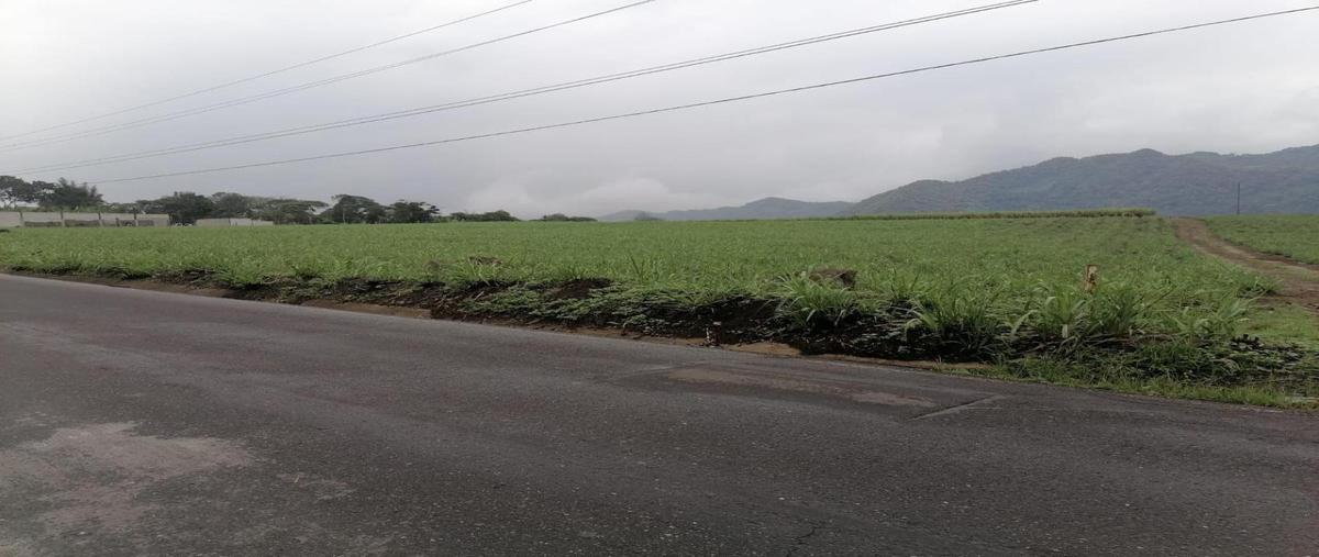 Foto de terreno habitacional en venta en calle principal 3, la luz y trinidad palotal, córdoba, veracruz de ignacio de la llave, 0 No. 03