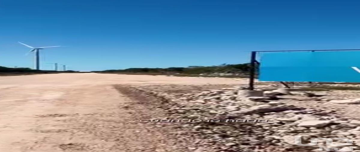 Foto de terreno habitacional en venta en calle principal , chicxulub, chicxulub pueblo, yucatÃ¡n, 31565059 No. 03