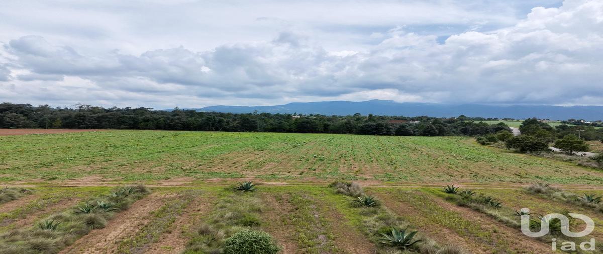 Foto de terreno habitacional en venta en calle principal , las lajas primera secciÃ³n, zacatlÃ¡n, puebla, 31565054 No. 03