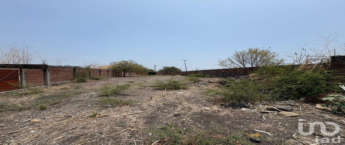 Foto de terreno comercial en calle principal , real del puente, xochitepec, morelos, 31431370 foto 02 Foto de terreno comercial en venta en calle principal , real del puente, xochitepec, morelos, 31431370 No. 02