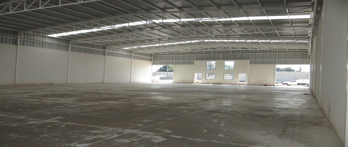 Foto de bodega en renta en calle principal , san josé el alto, león, guanajuato, 0 No. 08