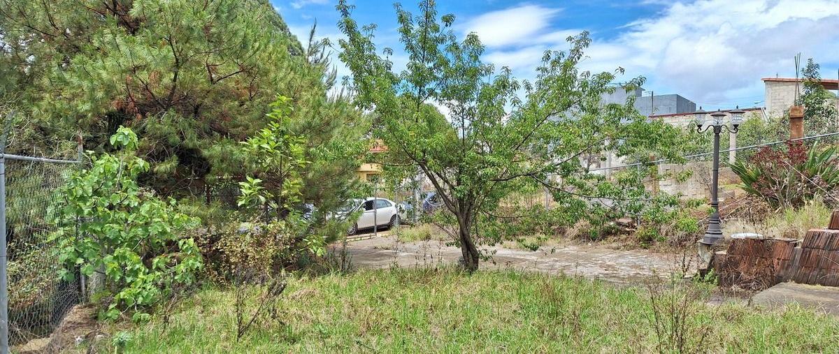 Foto de casa en venta en calle privada , san gabriel ixtla, valle de bravo, méxico, 28267241 No. 03