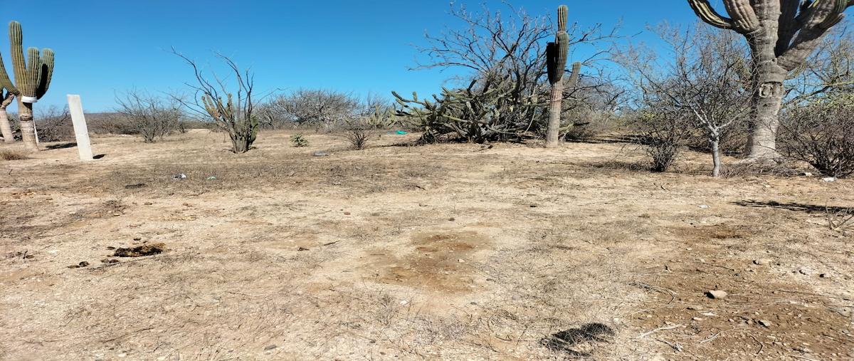 Foto de terreno habitacional en venta en calle retama , calafia, la paz, baja california sur, 27079618 No. 03