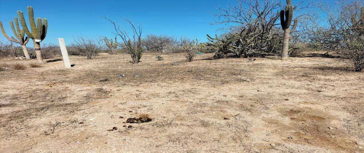 Foto de terreno habitacional en venta en calle retama , calafia, la paz, baja california sur, 27079618 No. 04