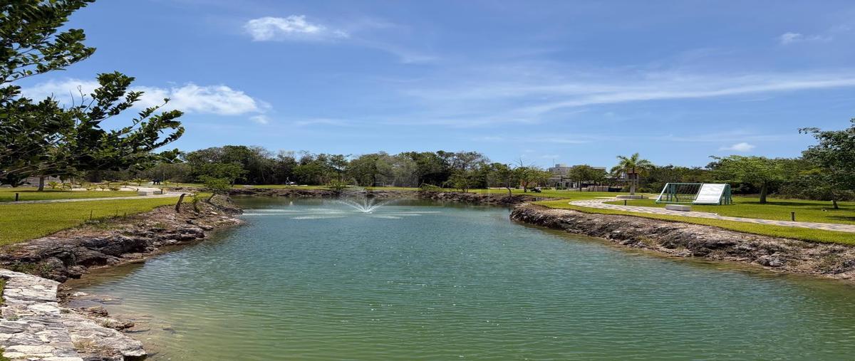 Foto de terreno habitacional en venta en calle roble, parque victoria, fraccionamiento lausana 10, supermanzana 550, benito juárez, quintana roo, 0 No. 05
