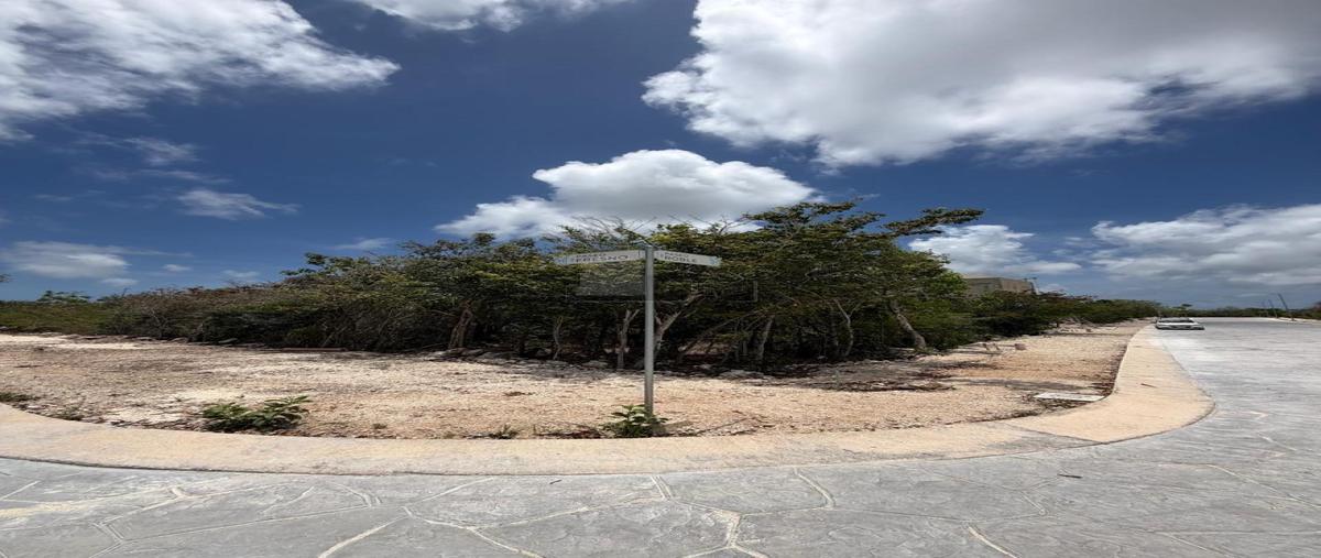 Foto de terreno habitacional en venta en calle roble, parque victoria, fraccionamiento lausana 11, supermanzana 550, benito juárez, quintana roo, 0 No. 04