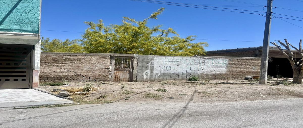 Foto de terreno habitacional en venta en calle rosales lote 70 , del valle, lerdo, durango, 29912570 No. 03