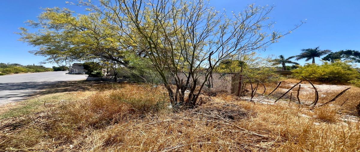 Foto de terreno habitacional en venta en calle rosales lote 70 , del valle, lerdo, durango, 29912570 No. 04