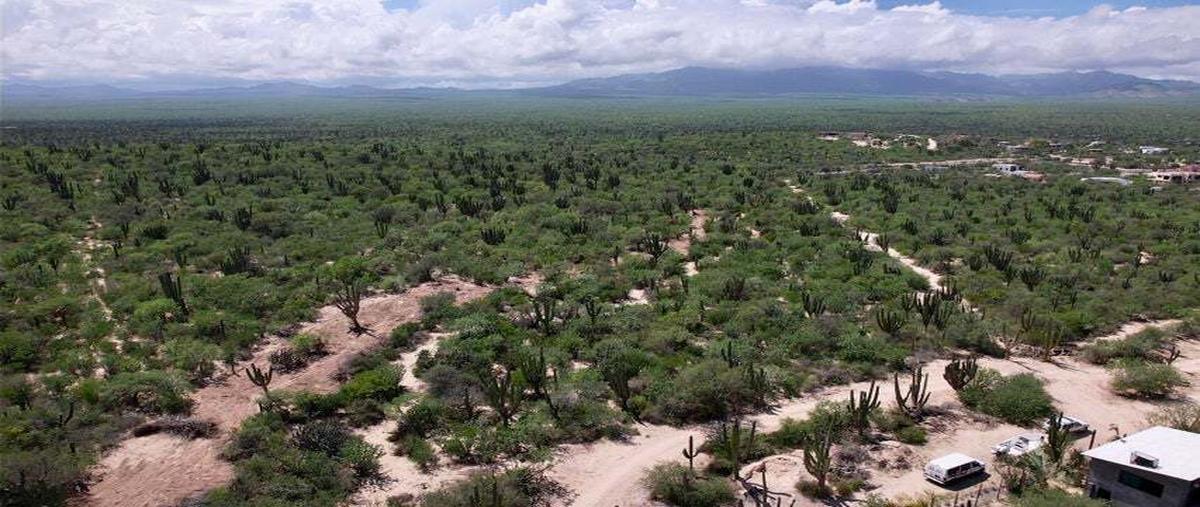 Foto de terreno habitacional en calle sabila , la ventana, la paz, baja california sur, 0 foto 03 Foto de terreno habitacional en venta en calle sabila , la ventana, la paz, baja california sur, 0 No. 03