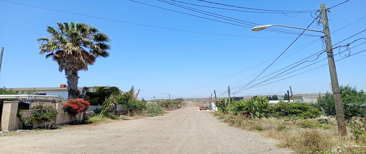 Foto de terreno habitacional en venta en calle san vicente, terrazas del pacifico , terrazas del pacífico, playas de rosarito, baja california, 31718907 No. 05