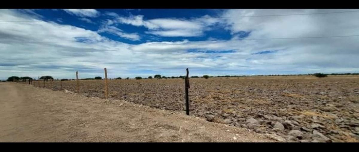 Foto de rancho en venta en calle santos garcia 112, santa rosa, el llano, aguascalientes, 0 No. 04