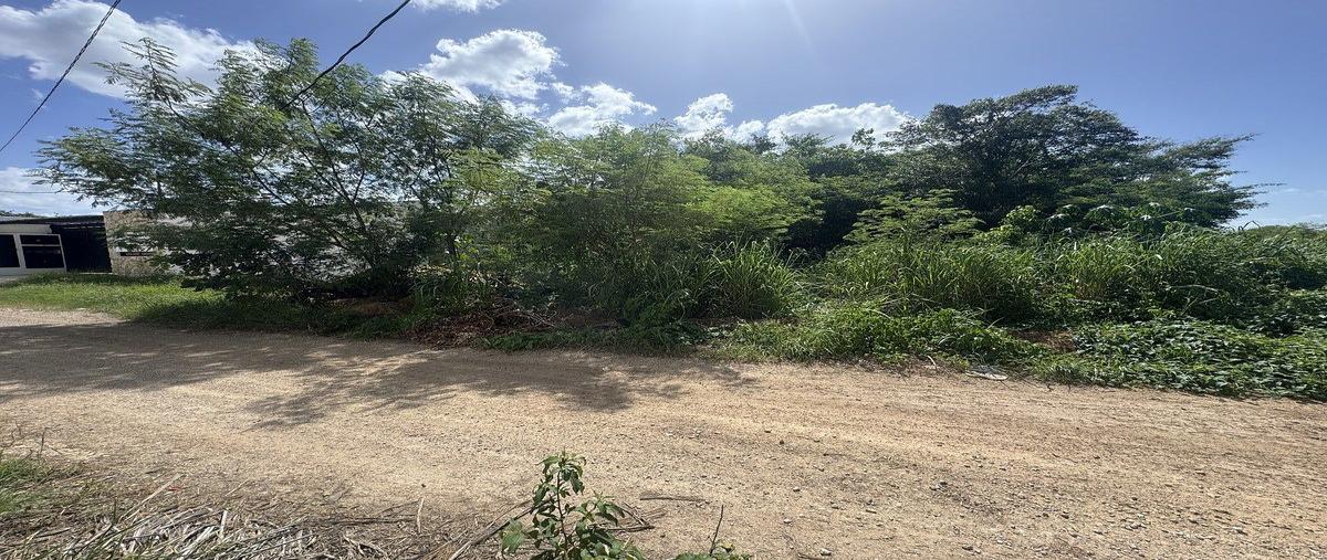 Foto de terreno habitacional en venta en calle secundaria , residencial campestre viladiu, mérida, yucatán, 0 No. 06