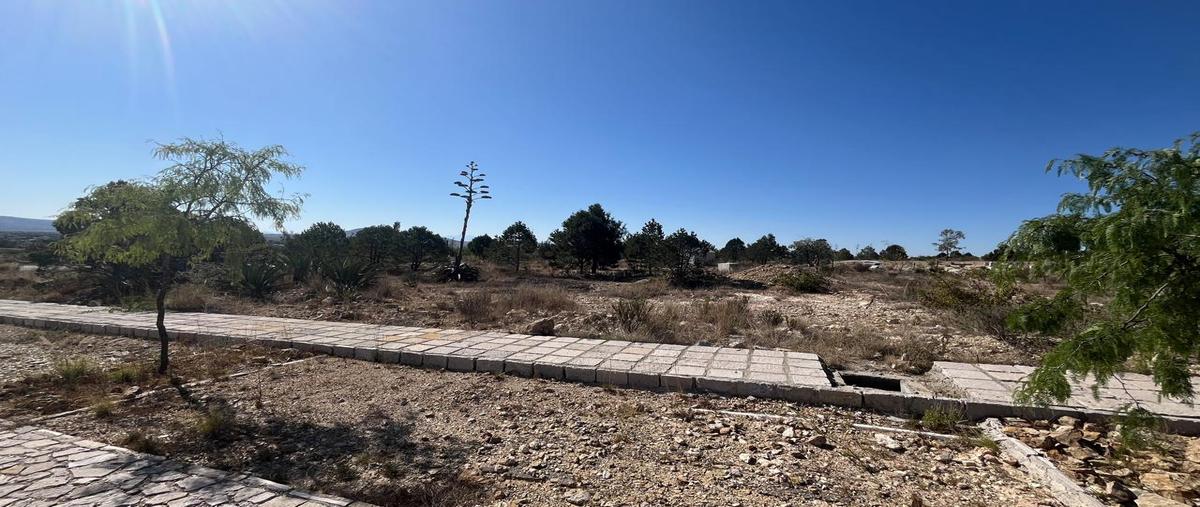 Foto de terreno habitacional en venta en calle sendero yuca , mineral de pozos, san luis de la paz, guanajuato, 30043482 No. 03