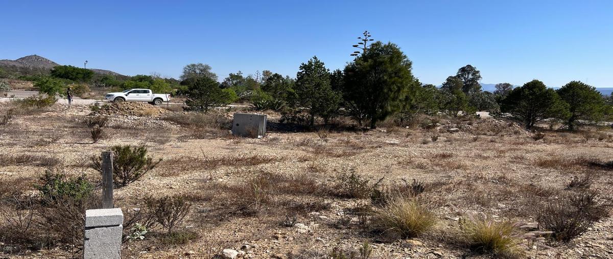 Foto de terreno habitacional en venta en calle sendero yuca , mineral de pozos, san luis de la paz, guanajuato, 30043482 No. 05