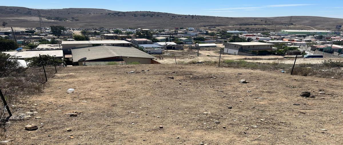 Foto de terreno habitacional en venta en calle sierra san lorenzo , valle dorado, tijuana, baja california, 30516866 No. 05