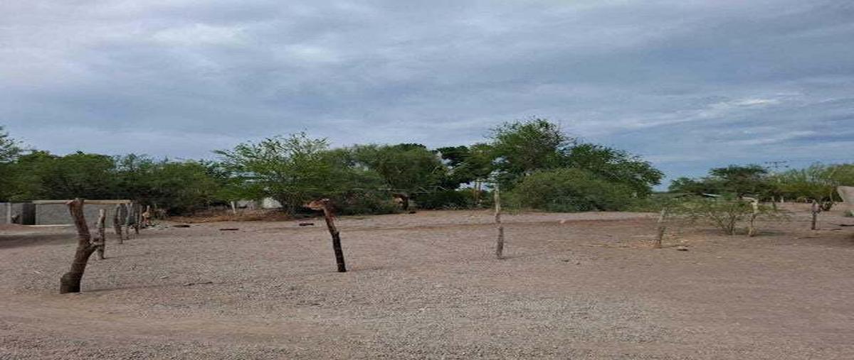 Foto de terreno habitacional en venta en calle sin nombre , centro, loreto, baja california sur, 0 No. 04
