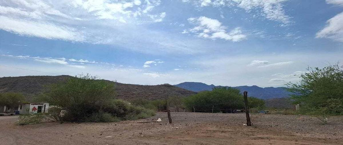 Foto de terreno habitacional en venta en calle sin nombre , centro, loreto, baja california sur, 0 No. 06