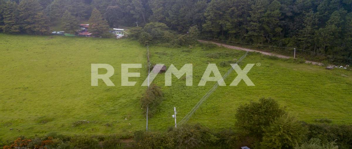 Foto de terreno habitacional en venta en calle sin nombre , cerro gordo, valle de bravo, méxico, 26990861 No. 03
