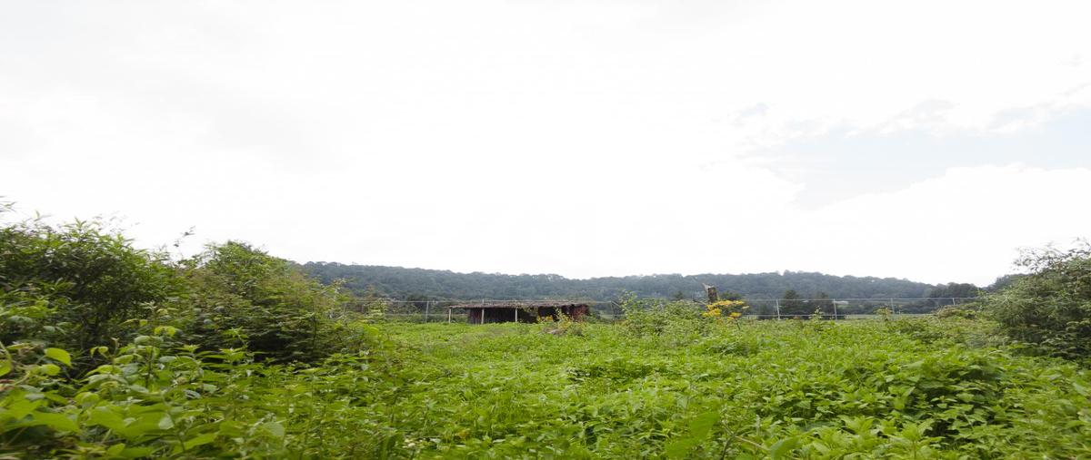 Foto de terreno habitacional en venta en calle sin nombre , cerro gordo, valle de bravo, méxico, 26990861 No. 04