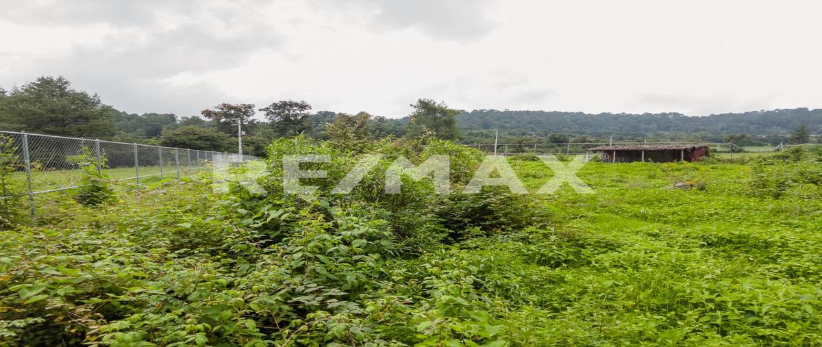 Foto de terreno habitacional en venta en calle sin nombre , cerro gordo, valle de bravo, méxico, 26990861 No. 05