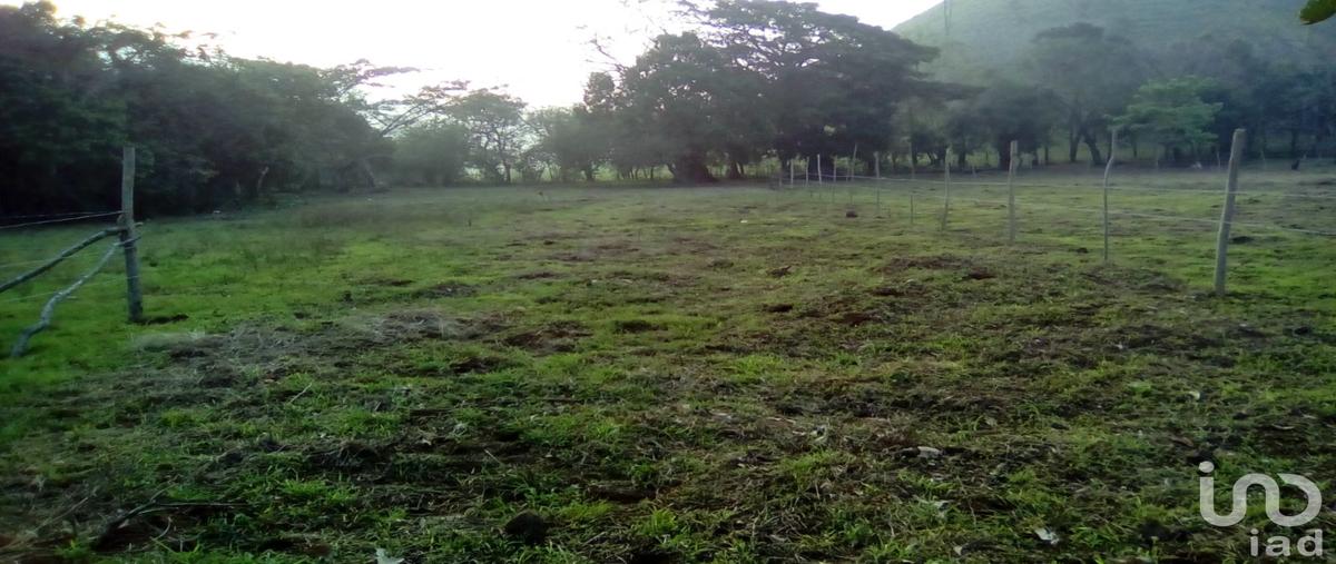 Foto de terreno habitacional en venta en calle sin nombre , dos de abril (montepío chiquito), san andrés tuxtla, veracruz de ignacio de la llave, 28721627 No. 05