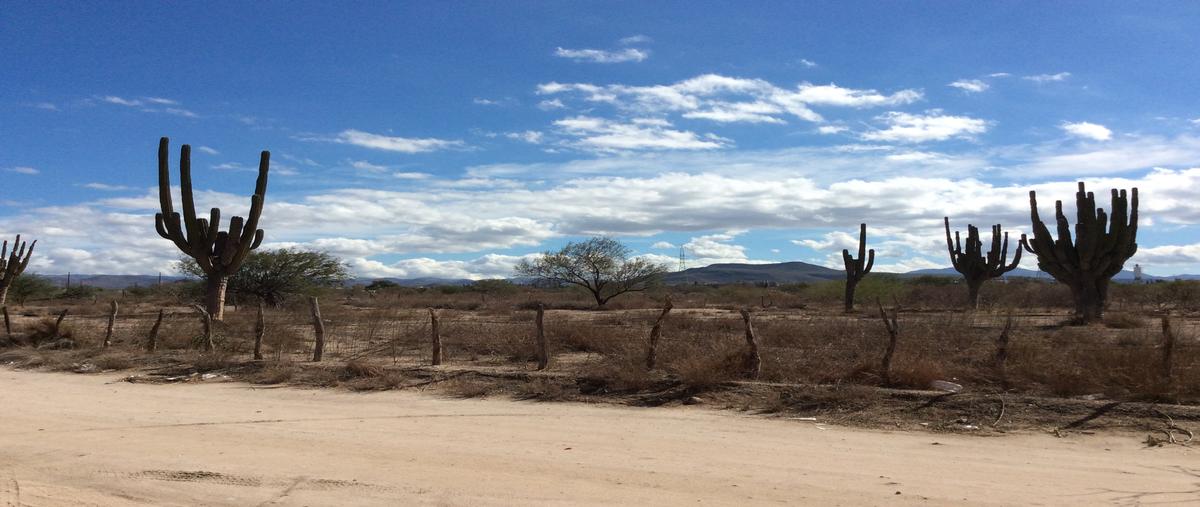 Foto de terreno habitacional en calle sin nombre, entre calle viejitos y calle 2, colonia parque industrial, la paz, b.c.s. , parque industrial, la paz, baja california sur, 19503161 foto 03 Foto de terreno habitacional en venta en calle sin nombre, entre calle viejitos y calle 2, colonia parque industrial, la paz, b.c.s. , parque industrial, la paz, baja california sur, 19503161 No. 03